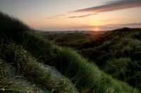 Ameland_Duinen_Signed